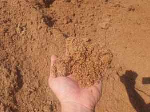 Линия оборудование по сушке пивной дробины, спиртовой барды, кека, фугата, DDGS