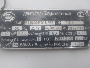 Двигатель асинхронный 5АМ315 S 6У3 110Кв, 990 об/мин