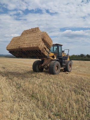 Вилы для силоса для погрузчиков JCB Agri, Zauberg, UMG