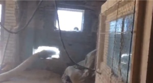 Станок углопильный корвет P22D610