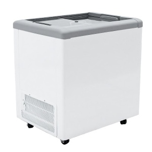Ларь морозильный Frostor GELLAR FG 250 C