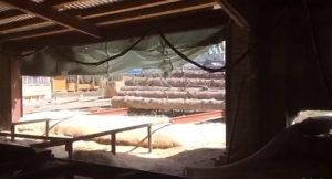 Станок углопильный корвет P22D610