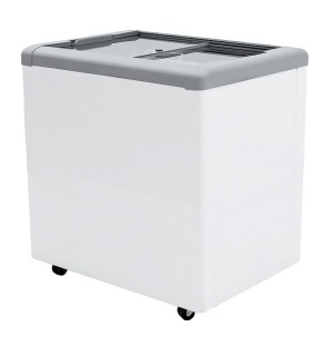 Ларь морозильный Frostor GELLAR FG 250 C