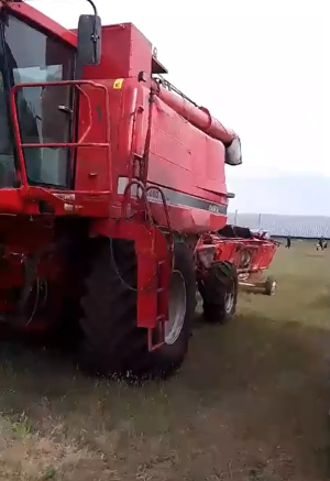 Зерноуборочный комбайн Case IH 2388