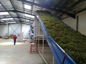 Ленточный конвеер