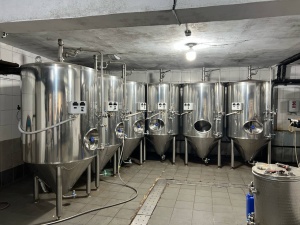 Пивоварня ЦКТ 1000 л