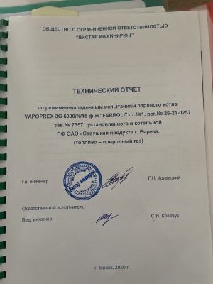 парогенератор (котёл газовый) ferroli