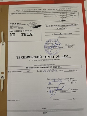 парогенератор (котёл газовый) ferroli