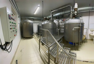 Пивзавод, пивоварня, пивоваренное оборудование, производство лимонада, кваса, сидра, сиропа, газированные напитки, энергетики