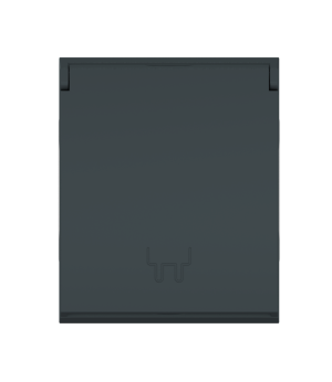 Розетка CADUCEUS ALING MODE электрическая, модульная с крышкой, для скрытой проводки, механизм, 16А, 250 В~