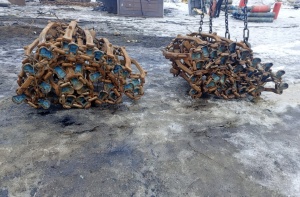 Гусеницы Олофсфорс для лесозаготовительной техники Харвестера и Форвардера