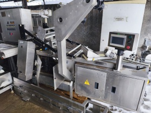 Горизонтальный упаковочный комплекс ТФ 2-Линепак-07