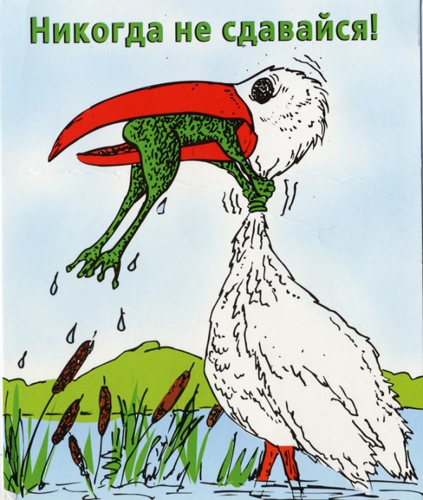 Огласка и общественный резонанс с высокой эффективностью