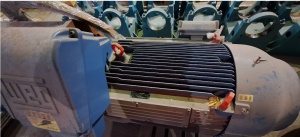 Электродвигатель асинхронный WEG W50