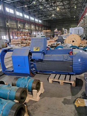 Электродвигатель асинхронный WEG W50