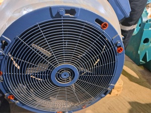 Электродвигатель асинхронный WEG W50