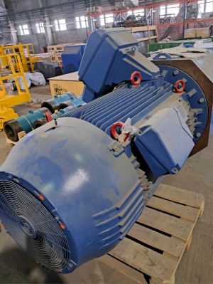 Электродвигатель асинхронный WEG W50