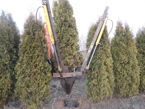 Навесной агрегат для выкопки деревьев крупномеров