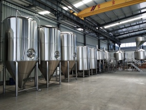 минипивоварня под ключ brewery Equipment