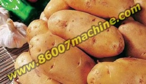 Линия для мойки и сушки картофеля