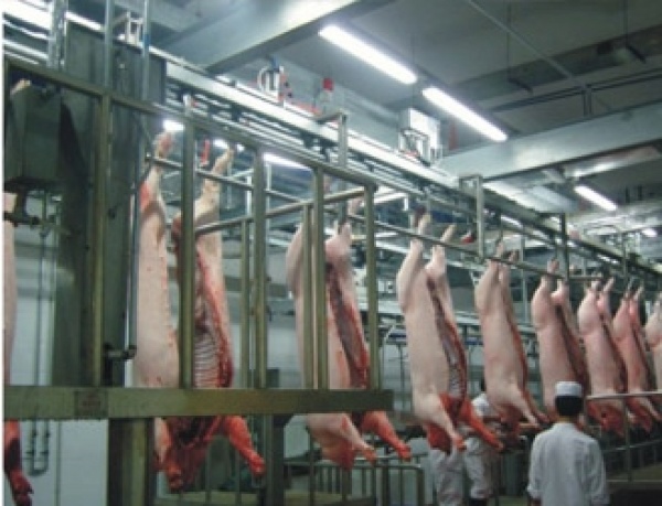 Линия по переработке мяса