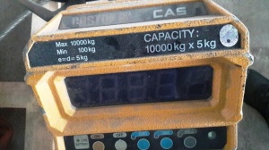 Весы крановые электронные типа CASTON III 10 ТНD (10 тонн). 2008г