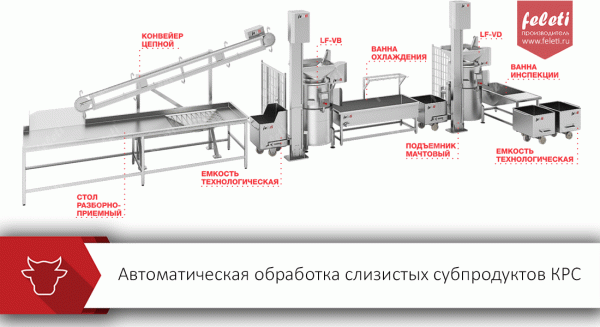 Автоматическая линия обработки слизистых субпродуктов КРС Feleti от производителя