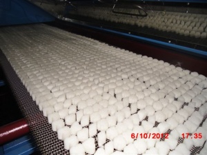 Оборудование для производства прессованного сахара рафинада и его фасовки