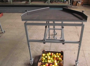 Установка для калибровки и сортировки яблок. Сортировка и калибровка фруктов