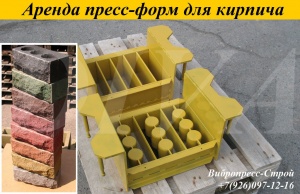 Аренда пресс форм, матрицы для облицовочного кирпича напрокат в России