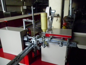 Оборудование для упаковки сахара рафинада в два кубика модельT2S-18 MF