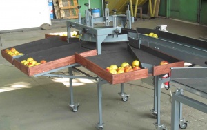 Оборудование, машина сортировки и калибровки фруктов, яблок УКФ-1.6Ф. Линия калибровки и сортировки фруктов, яблок