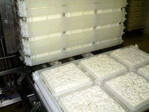 Формы для сыра, групповые формы для сыра, мульти-формы для сыра, микроперфорированные формы для производства сыров