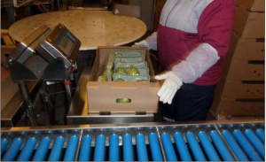 Автоматическая линия упаковки фруктов и овощей в лоток под пленку с этикетировщиком Espera