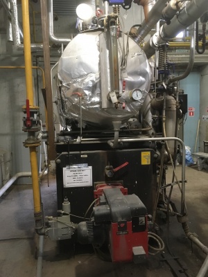 Парогенератор Steamrator steam 1000