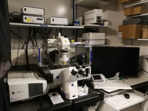 Конфокальный сканирующий микроскоп ZEISS LSM 710