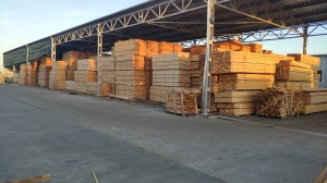 Timber Wood KD/Lumber. Пиломатериалы, доски, брус по ценам поставщика