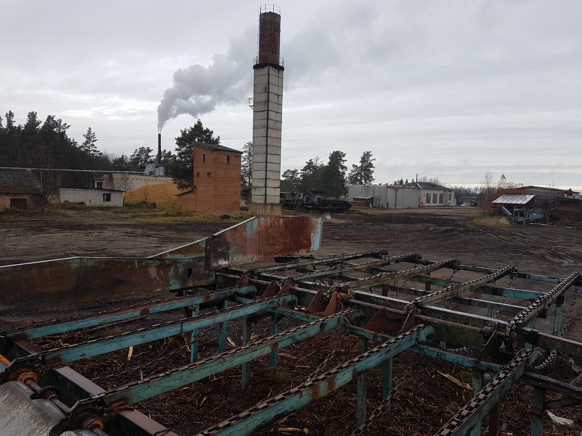 линия автоматической сортировки круглых бревен купить Б/У в Себеже по ...