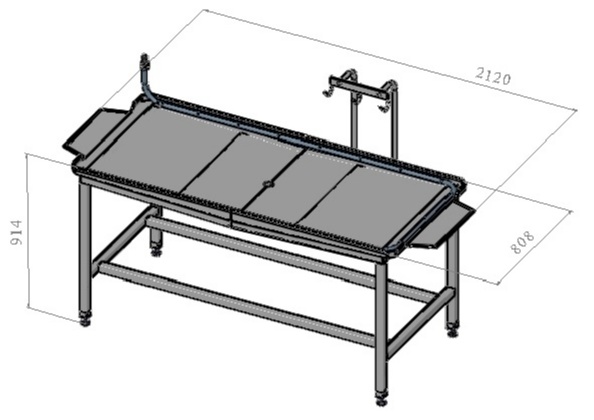 Стол с крючьями ASP-STPR-RK для приема и разборки кишкомплекта
