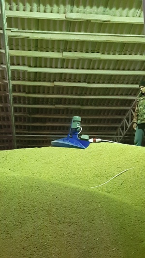 Ворошитель зерна ВЗ-1 от производителя
