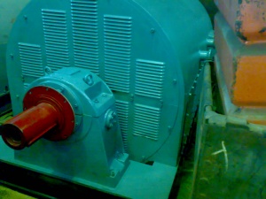 электродвигатели СТД-3150-2З УХЛ4