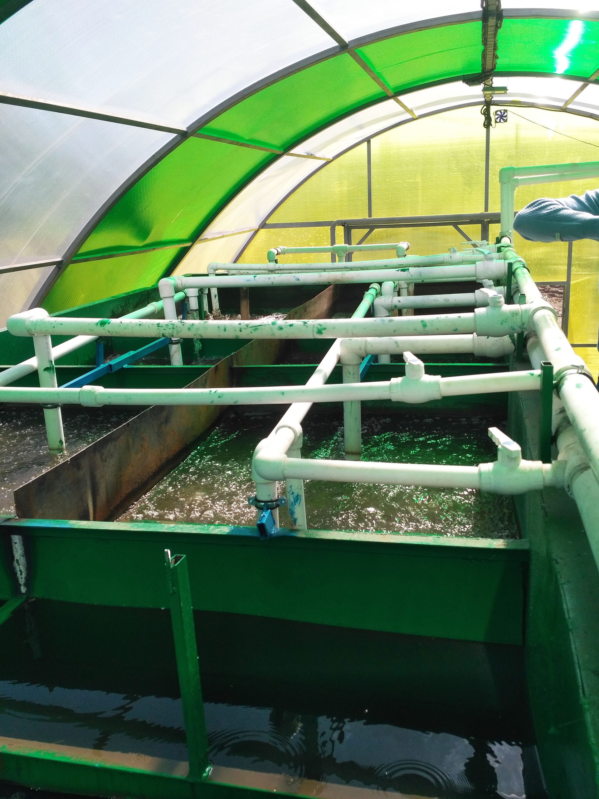 Установка очистки сточных вод от масло-нефтепродуктов купить в Бресте ...