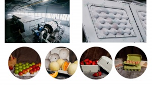 Производственная линия по выпуску бумажных альвеол для фруктов, овощей и упаковки куриных яиц