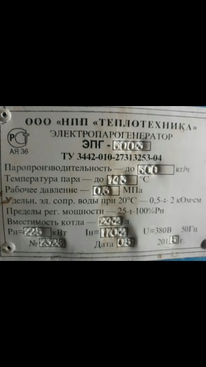 Электропарогенератор ЭПГ 300-3