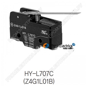 HY-L707С | Z4G1L01B Концевой выключатель подберем аналог