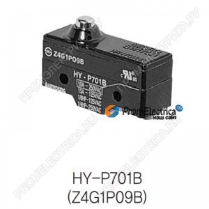 HY-P701B | Z4G1P09B Концевой выключатель подберем аналог