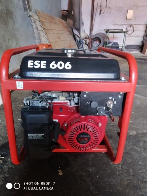 Бензиновый генератор ENDRESS ESE 606 DHS-GT ES