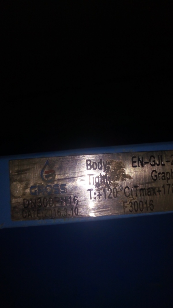 Фильтр сетчатый фланцевый Ду 300 Ру 16 Gross купить в Саратове по цене ...