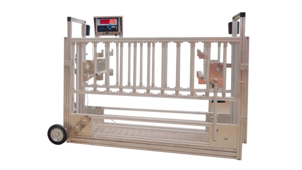 Бонитировочные весы для животных