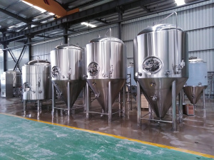 2000 литров пивоваренный завод под ключ